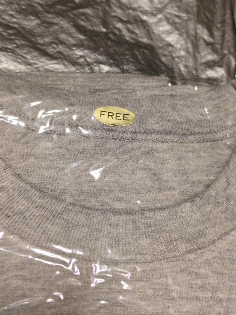 サザンオールスターズ　THE音楽祭　1991　太陽 Tシャツ　グレー 桑田佳祐