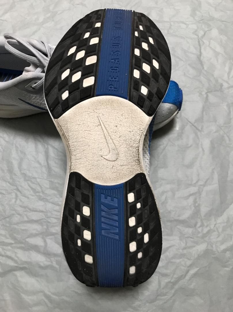 NIKE ナイキ ペガサス プラス メンズ 25.0cm