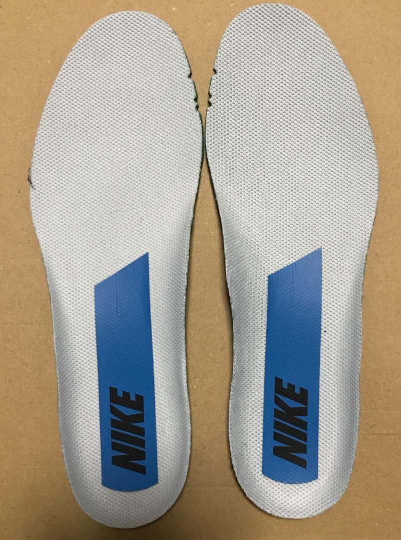 NIKE ナイキ ペガサス プラス メンズ 25.0cm