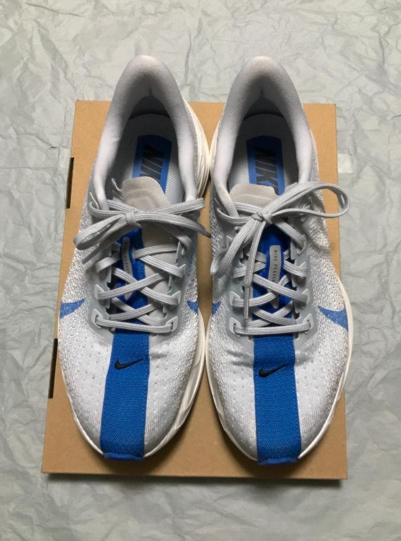 NIKE ナイキ ペガサス プラス メンズ 25.0cm