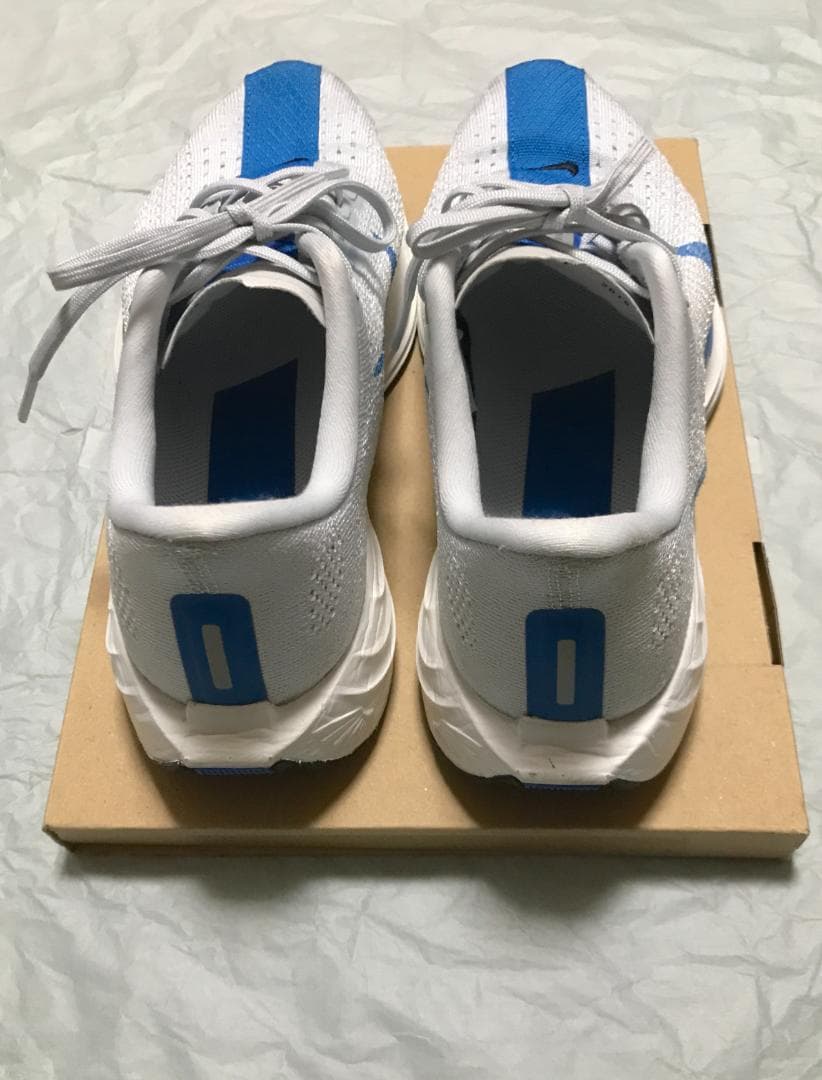 NIKE ナイキ ペガサス プラス メンズ 25.0cm