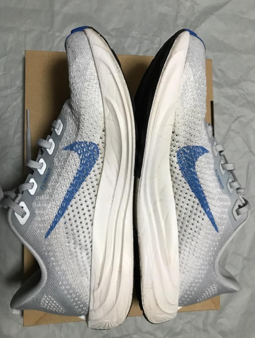 NIKE ナイキ ペガサス プラス メンズ 25.0cm