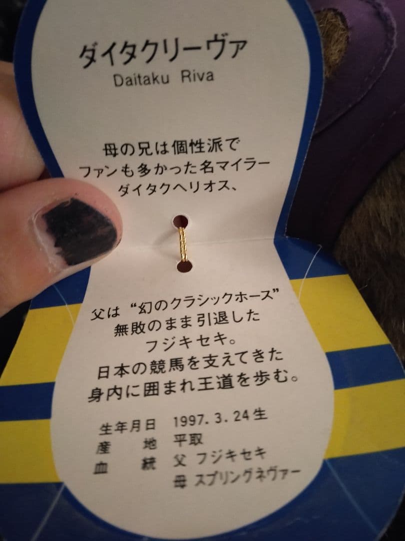ダイタクリーヴァ　AVANTI　ぬいぐるみ　競馬