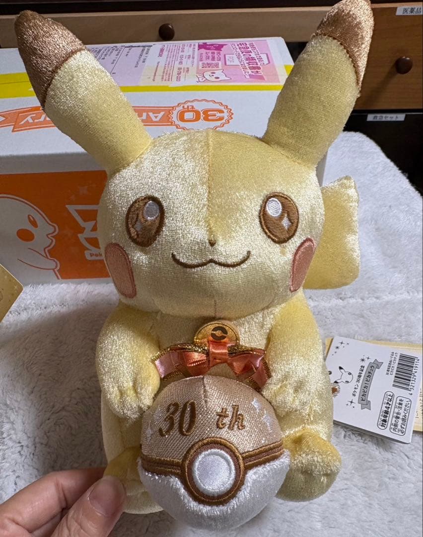 【新品タグ付】ポケモン30周年 ピカピカ！ピカチュウ ぬいぐるみ＆マスコット