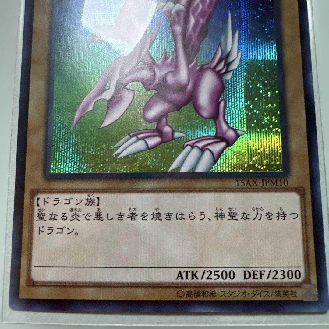 ホーリー・ナイト・ドラゴン