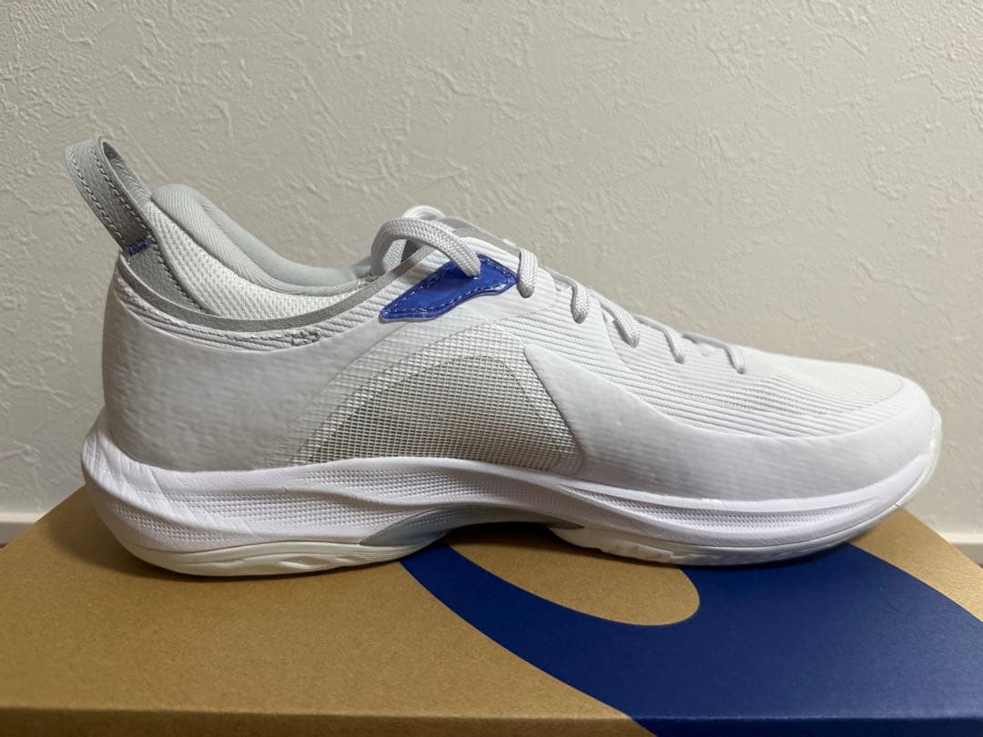 シューズ(男性用) ASICS GLIDE NOVA FF4 28cm