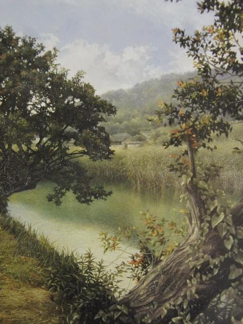 田中芳照、水郷、希少画集画、新品高級額・額装付、状態良好