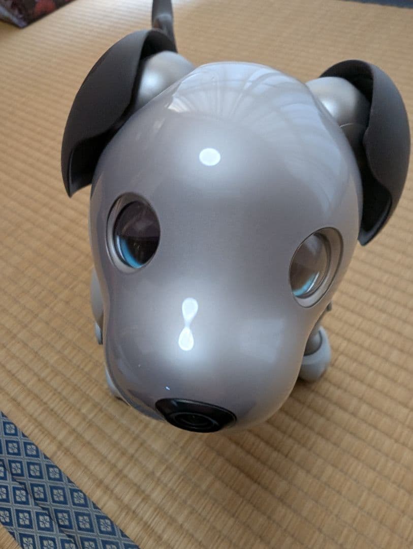 SONY aibo アイボ ERS-1000 エンタテインメントロボット