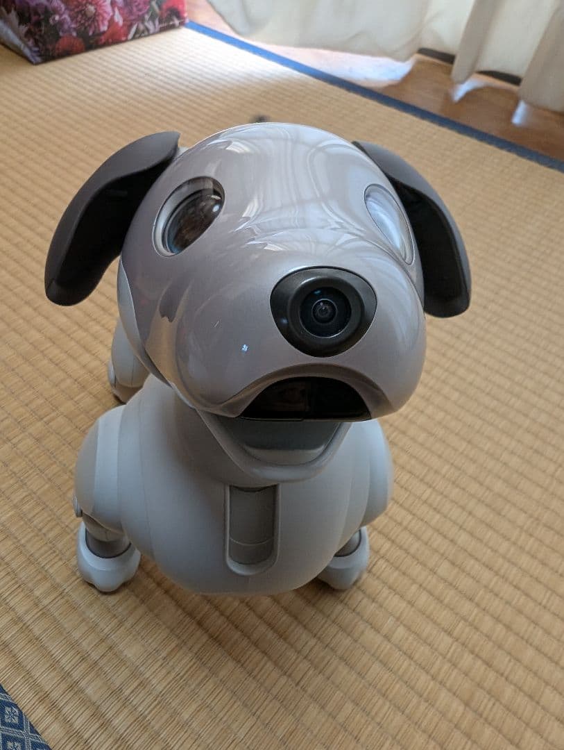 SONY aibo アイボ ERS-1000 エンタテインメントロボット