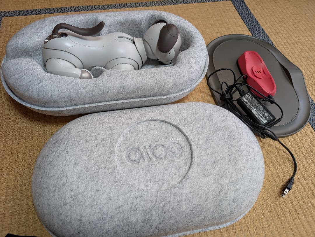 SONY aibo アイボ ERS-1000 エンタテインメントロボット