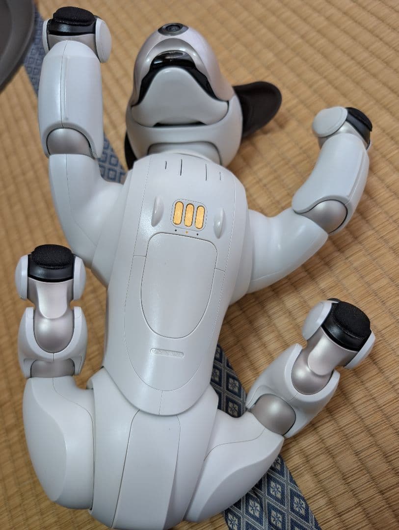 SONY aibo アイボ ERS-1000 エンタテインメントロボット