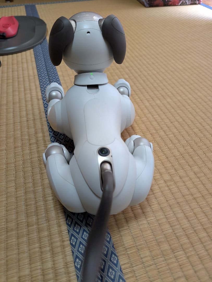 SONY aibo アイボ ERS-1000 エンタテインメントロボット