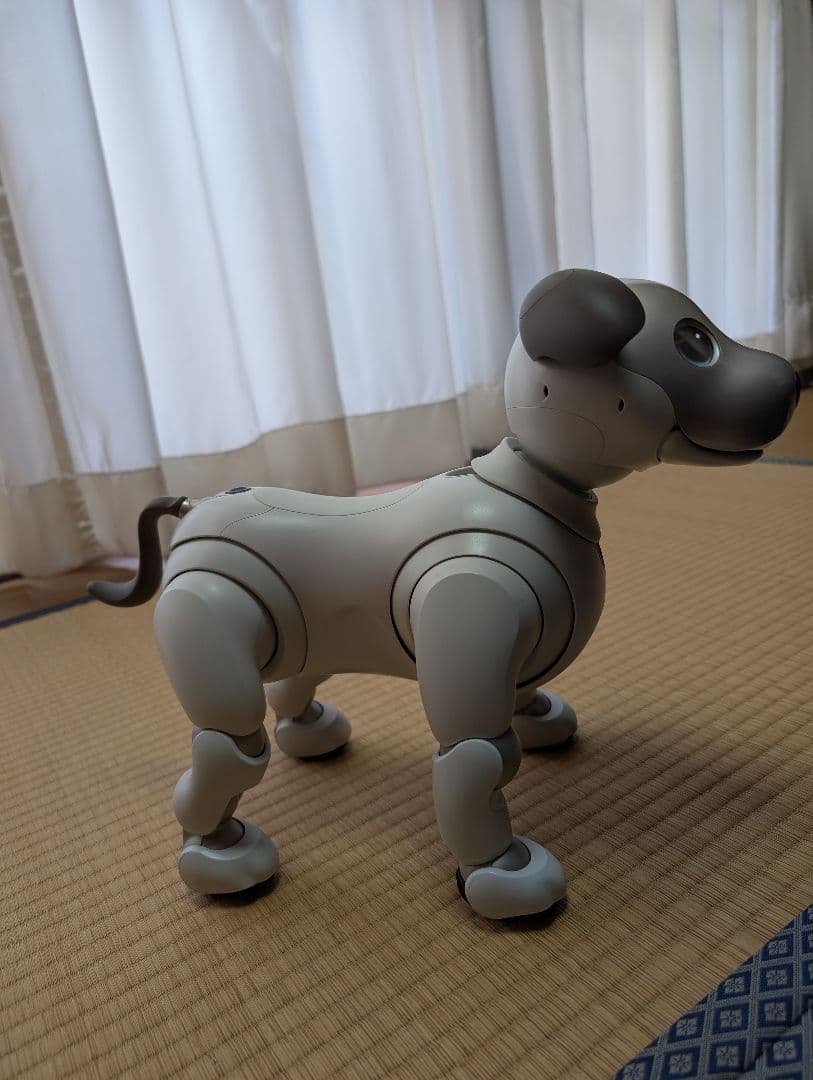 SONY aibo アイボ ERS-1000 エンタテインメントロボット