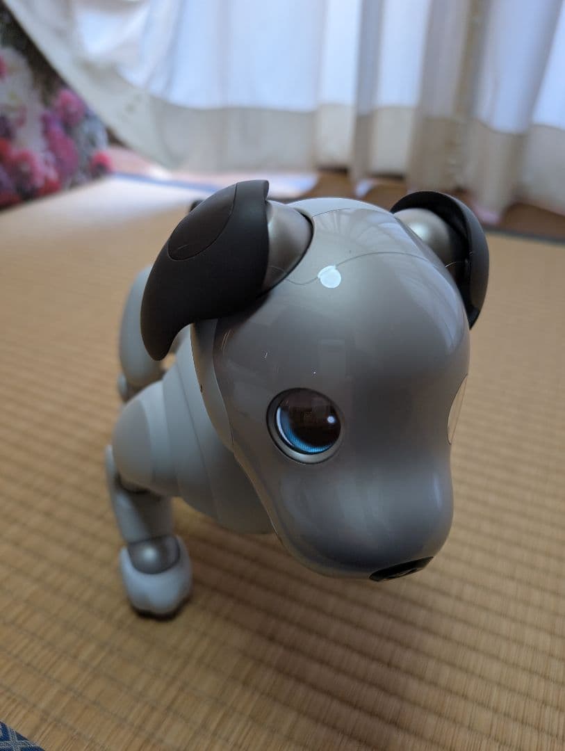 SONY aibo アイボ ERS-1000 エンタテインメントロボット