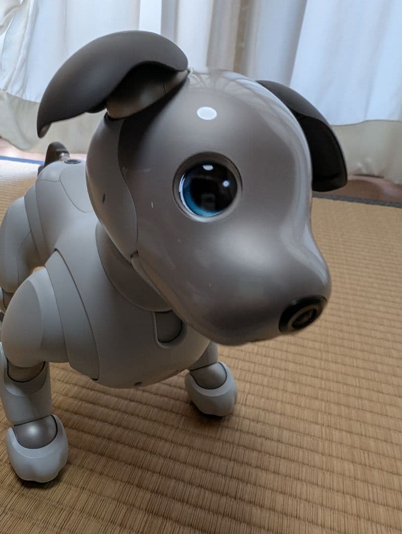 SONY aibo アイボ ERS-1000 エンタテインメントロボット