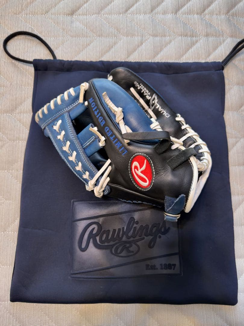 最終値下げ Rawlings The Gold Glove Co. グローブ