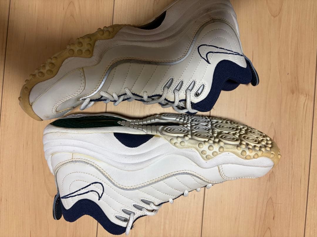 Nike AIR ZOOM FLIGHT 5 ズームフライト5 25.5