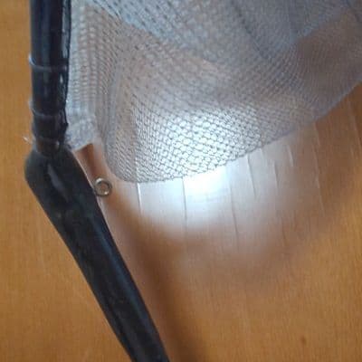 鹿角が入った小ぶりのアマゴ用「たも」