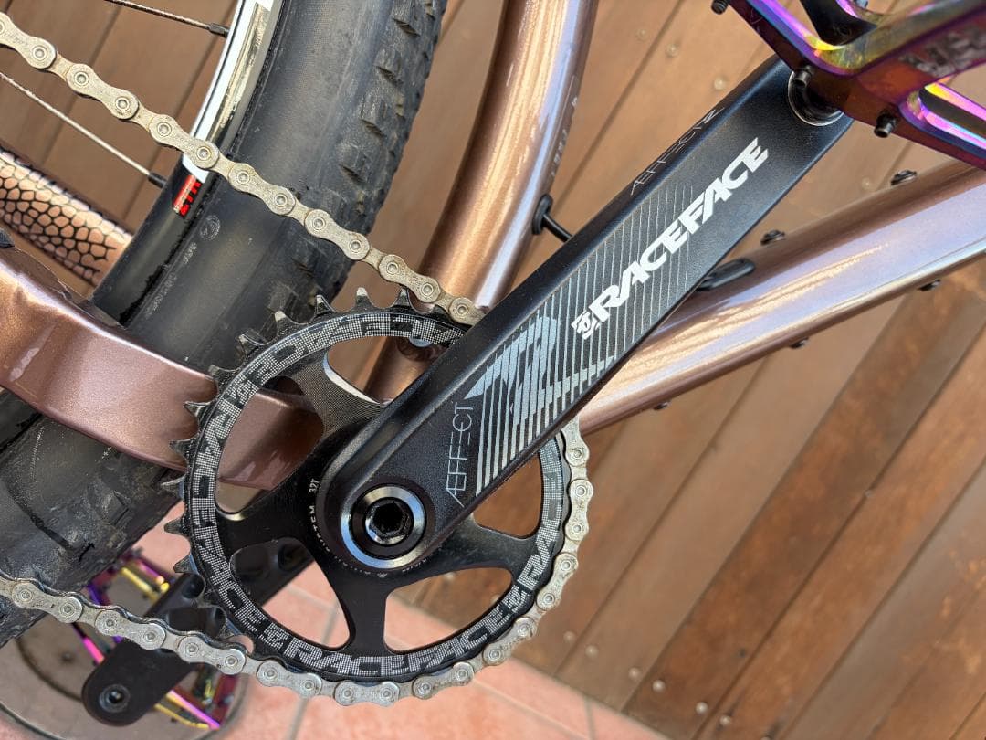SANTA CRUZ サンタクルーズ CAMELEON MTB L 29er