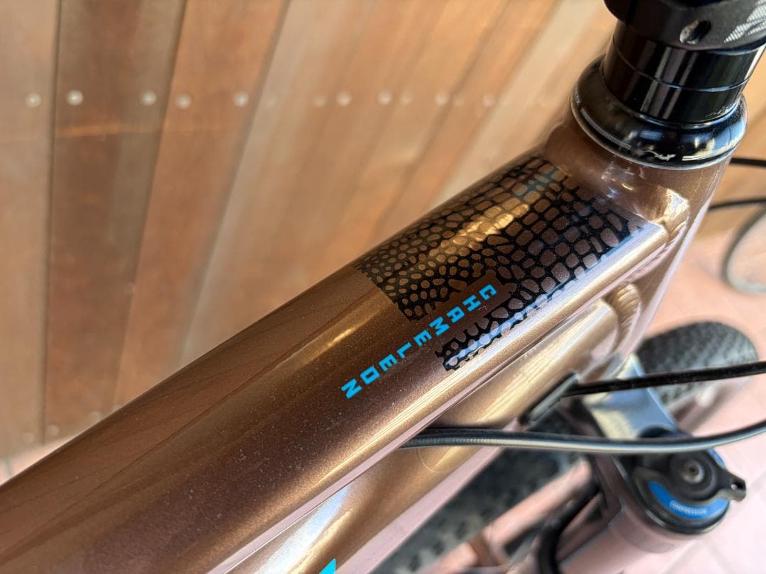 SANTA CRUZ サンタクルーズ CAMELEON MTB L 29er