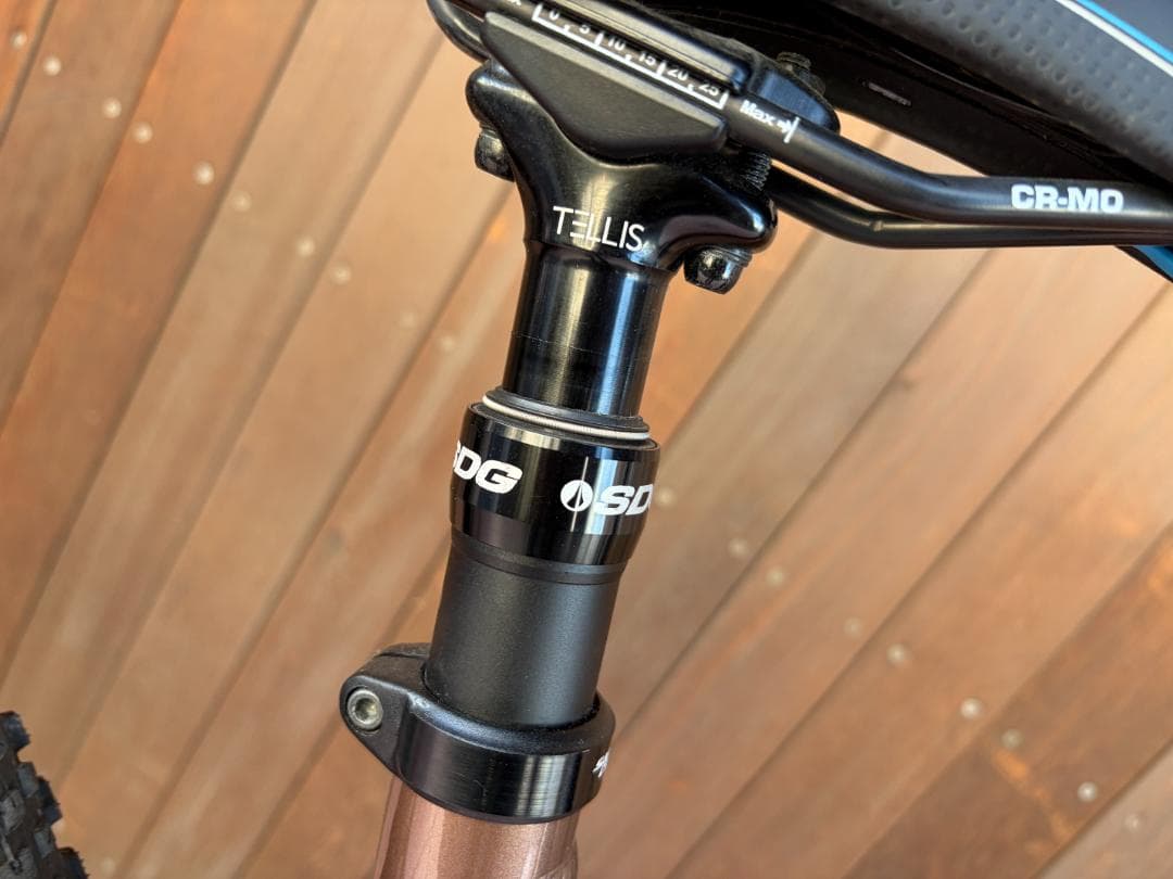 SANTA CRUZ サンタクルーズ CAMELEON MTB L 29er