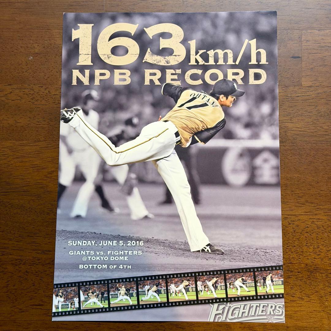 大谷翔平 NPB RECORD