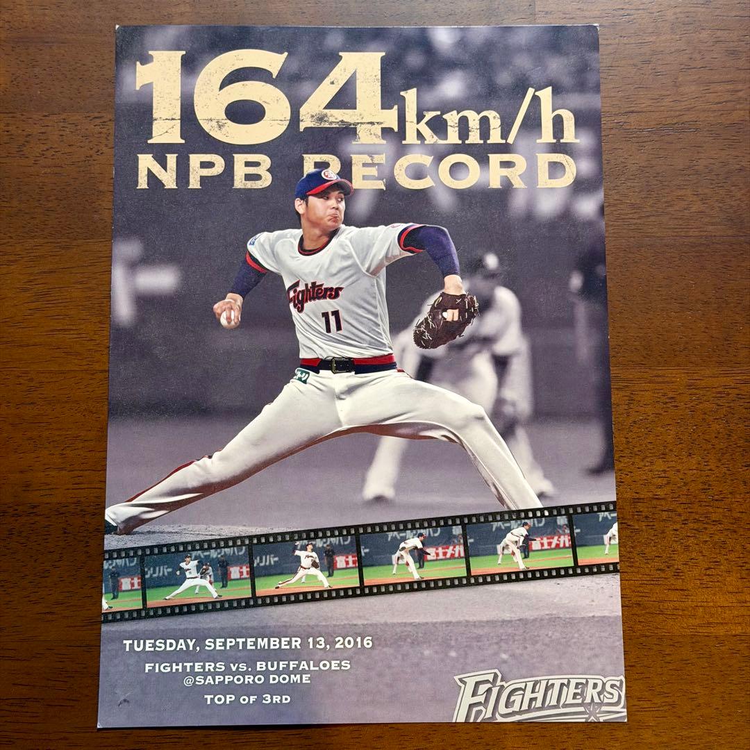 大谷翔平 NPB RECORD