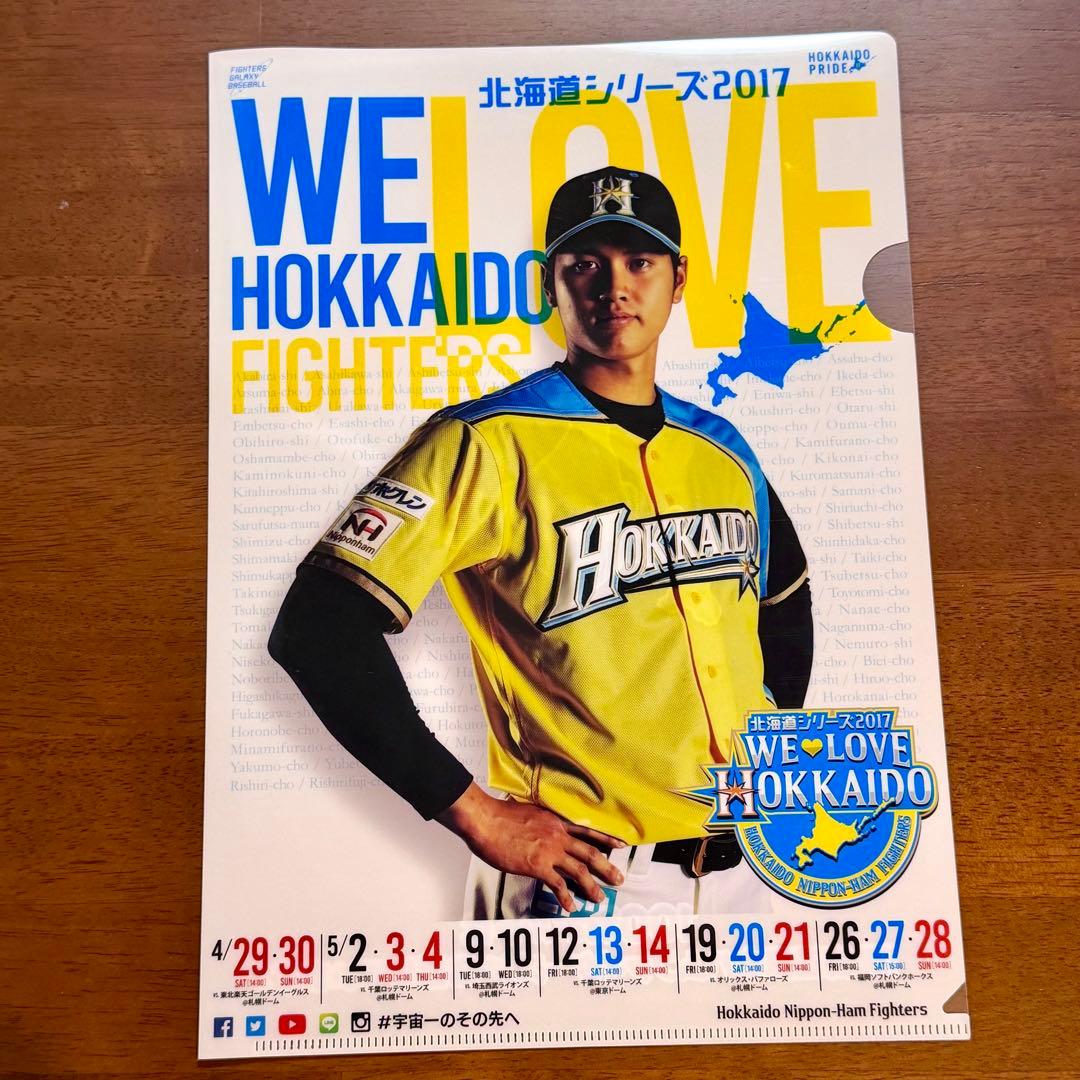 大谷翔平 NPB RECORD