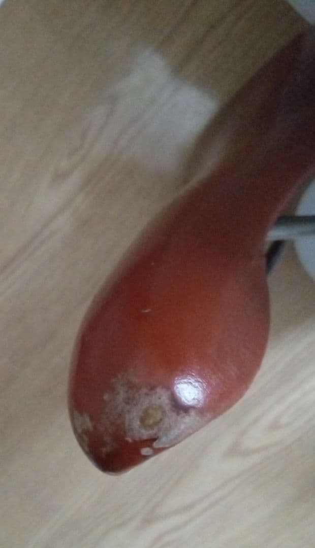 selle ITALIA Fliteサドル レザー 110周年記念