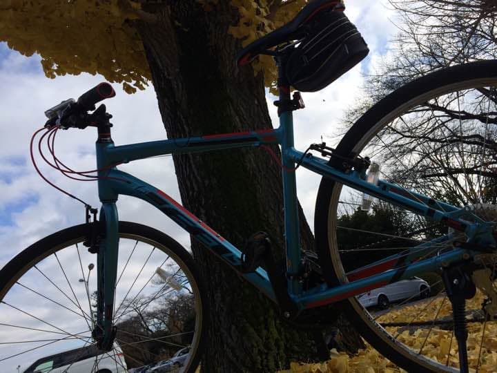 自転車本体 FELT