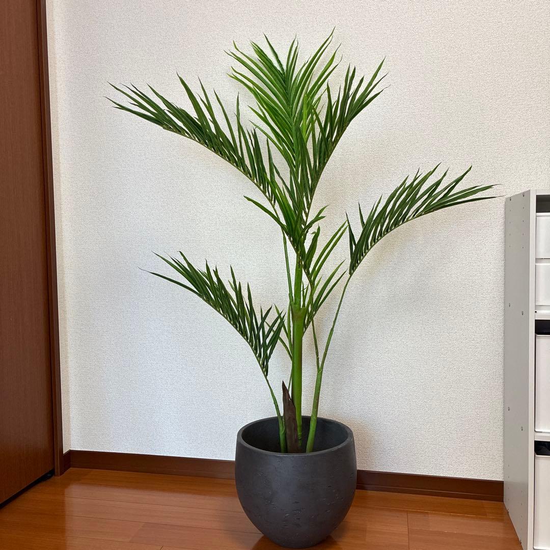 ※手渡し可　ニトリ　大型フェイクグリーン　ソテツ　150cm