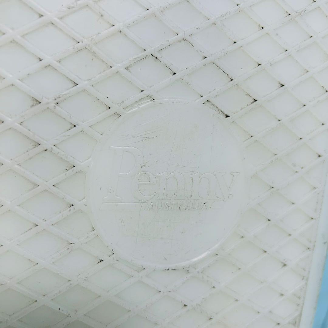 ペニー　スケートボード　Penny 22 白　ホワイト　クリア　サーフィン　蓄光