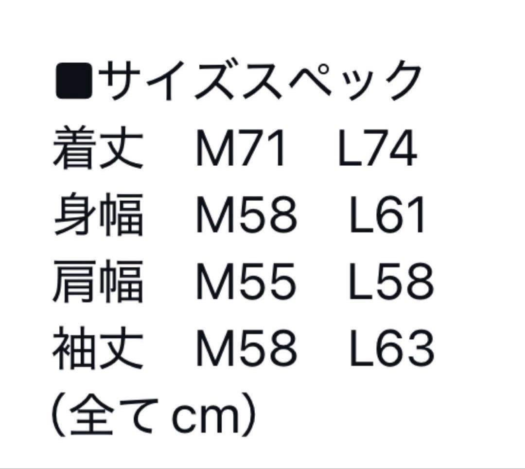 レイドジャパン　ゲームシャツ　Lサイズ　入手困難！