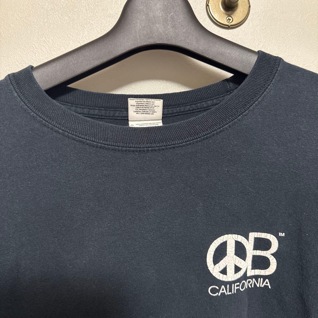 希少ピーススカルボーン骨スケルトンスパイダーLハーレーロンTシャツスケートLA