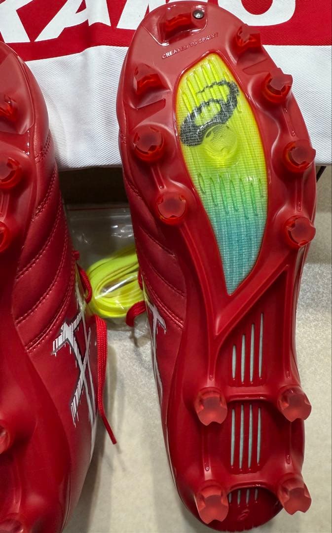 新品　DS LIGHT X-FLY PRO 3 26cm＋シューズケース付