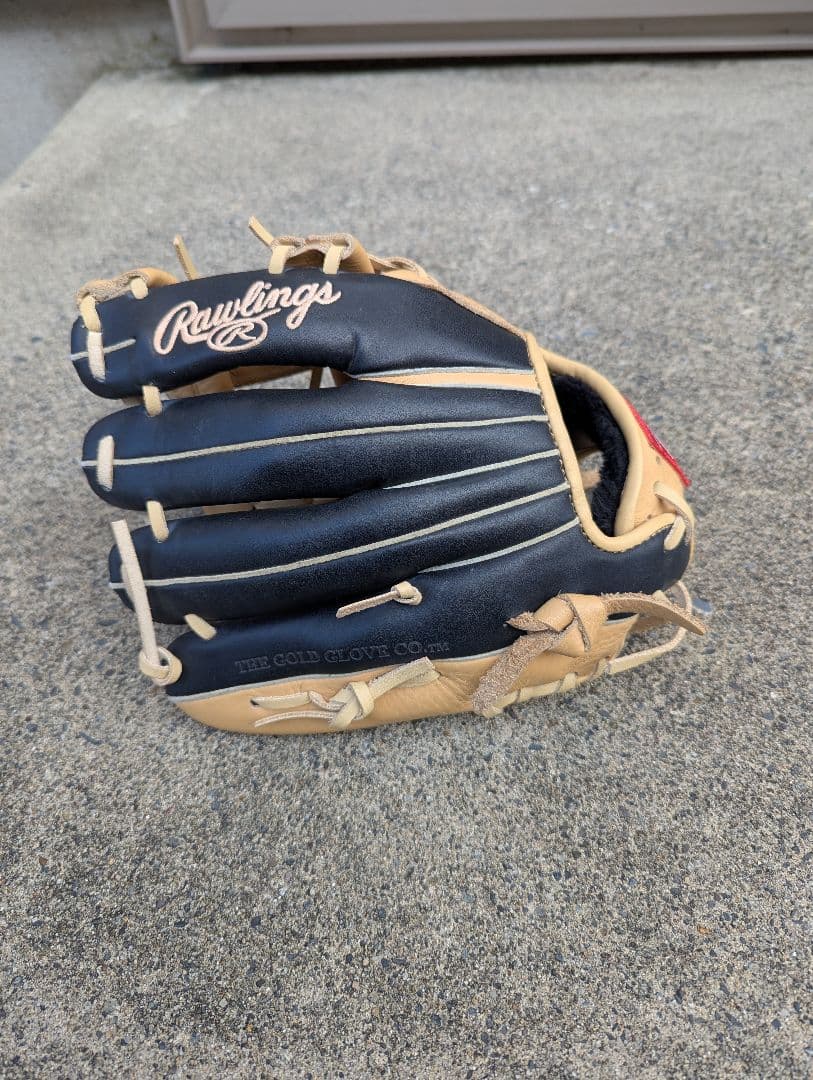 Rawlings 大人用 軟式グローブ 黒/ベージュ