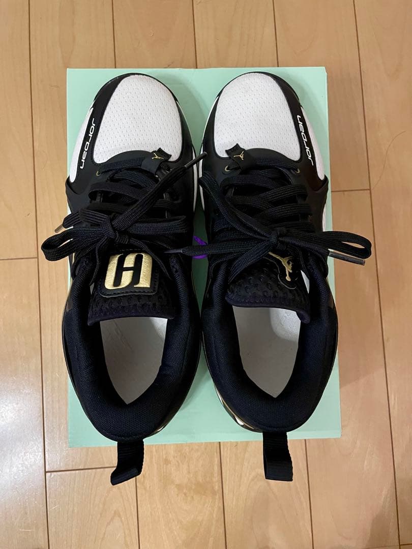 NIKE、JORDAN HEIR PF、27センチ