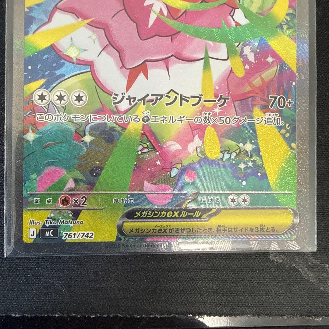 【美品】メガオーダイル、メガメガニウムex 、メガエンブオー の３枚セット