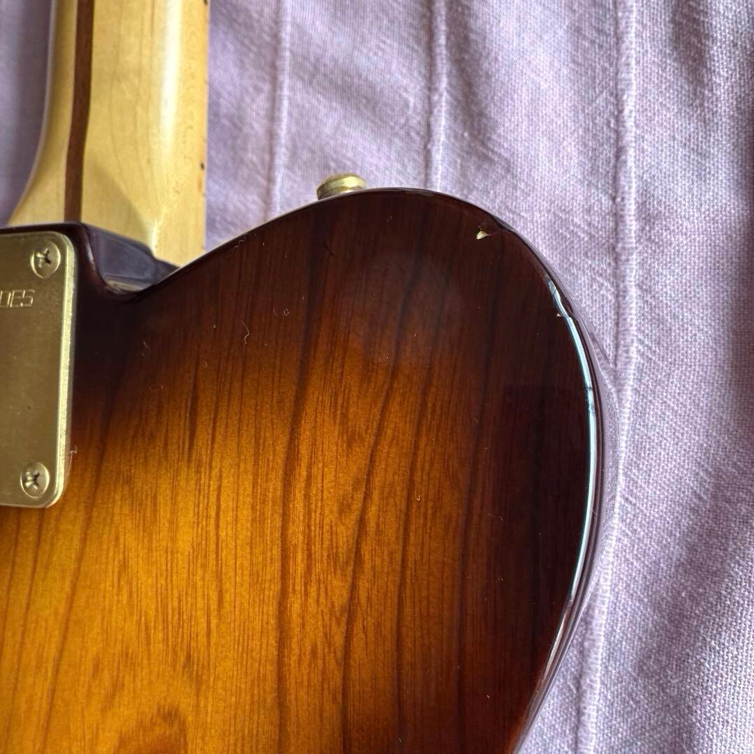 FERNANDES エレキギター F.G.I. TECHNOLOGY