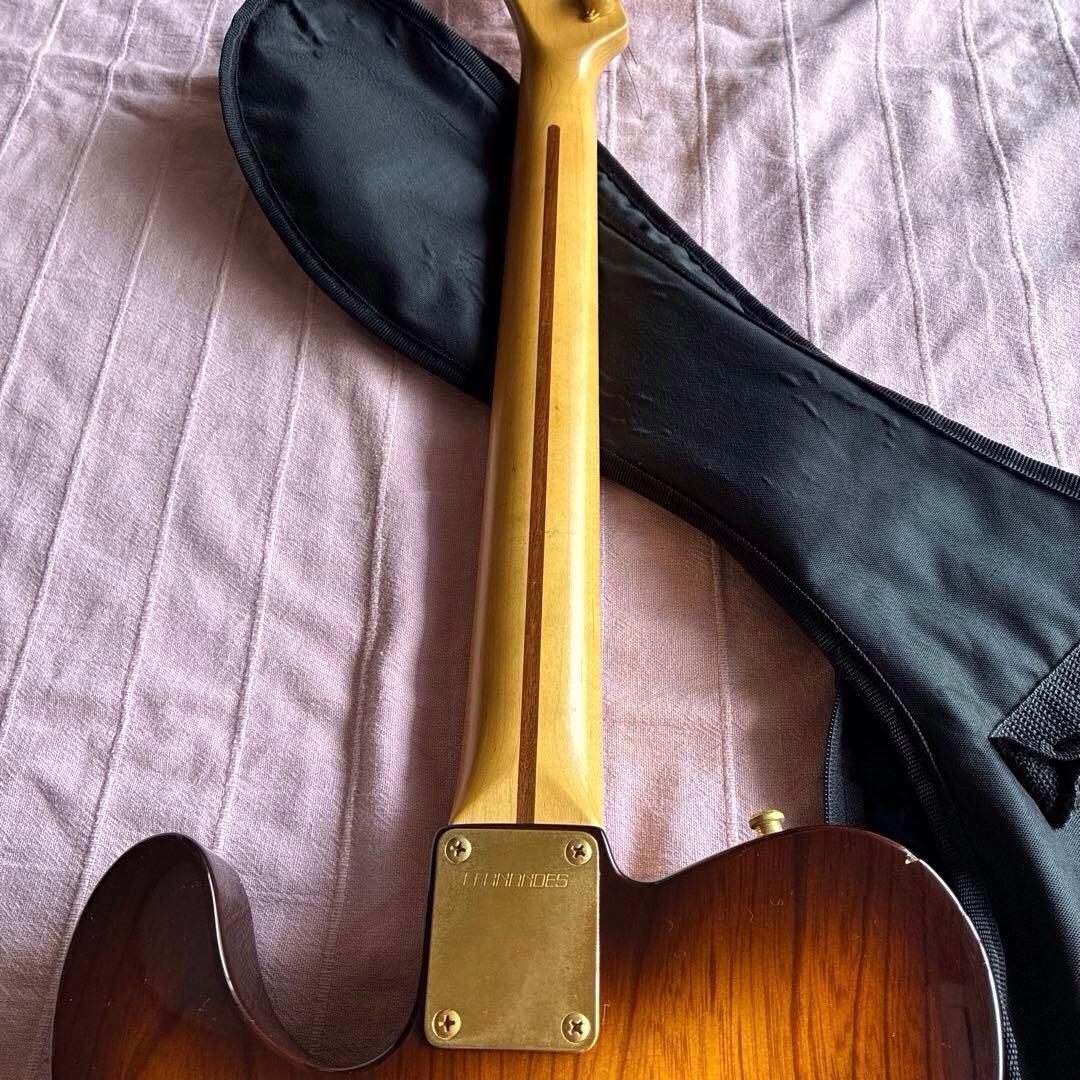 FERNANDES エレキギター F.G.I. TECHNOLOGY