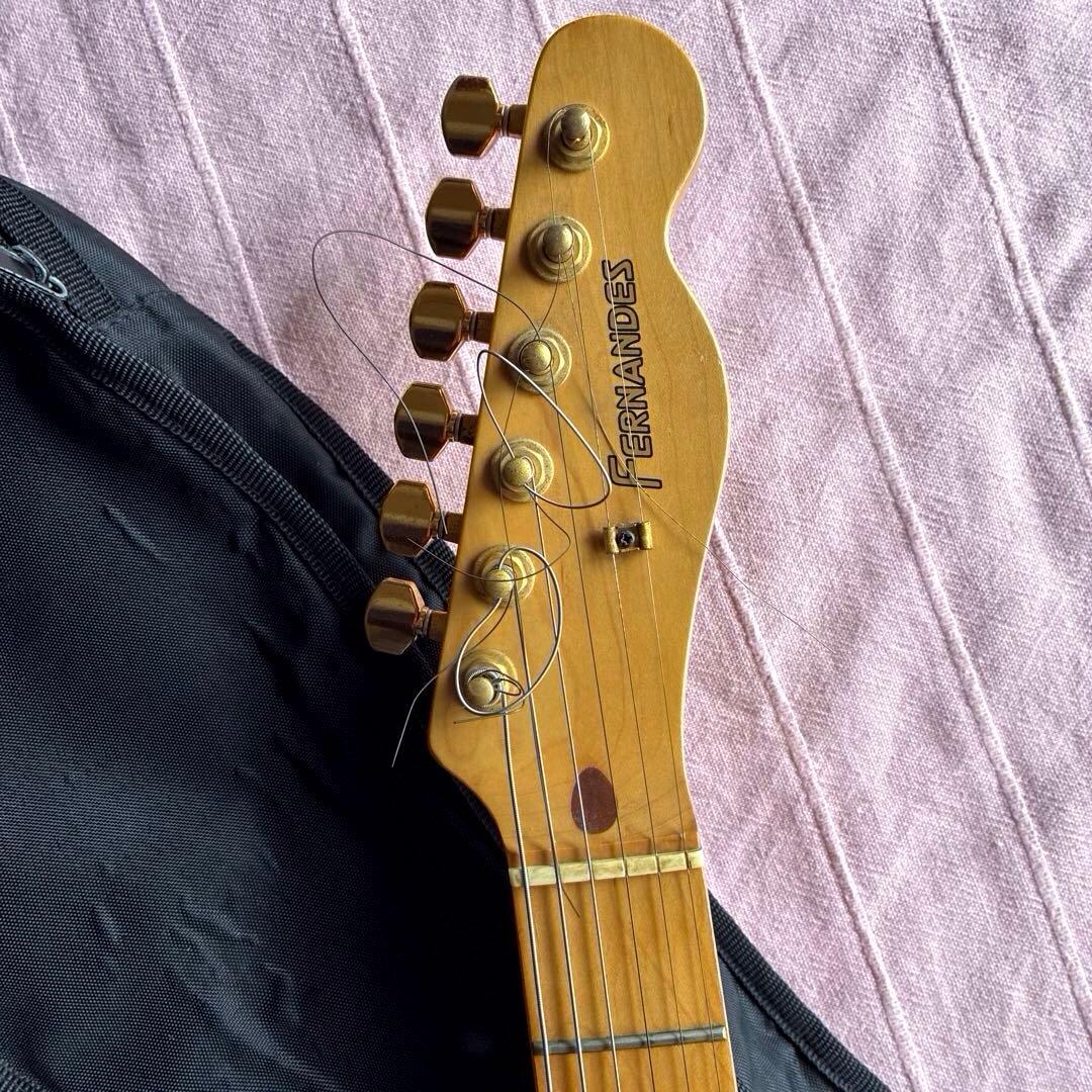 FERNANDES エレキギター F.G.I. TECHNOLOGY