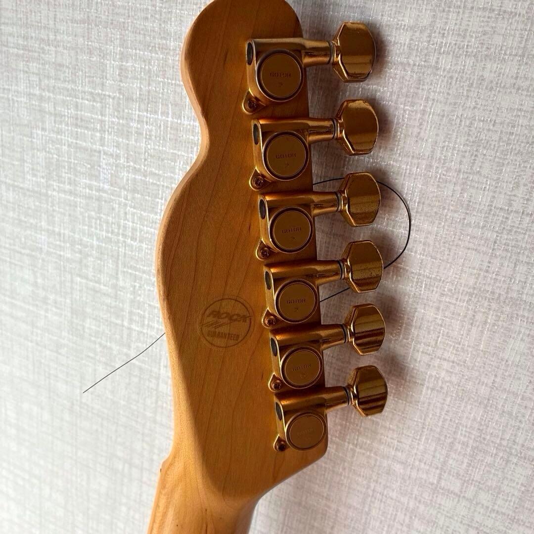 FERNANDES エレキギター F.G.I. TECHNOLOGY