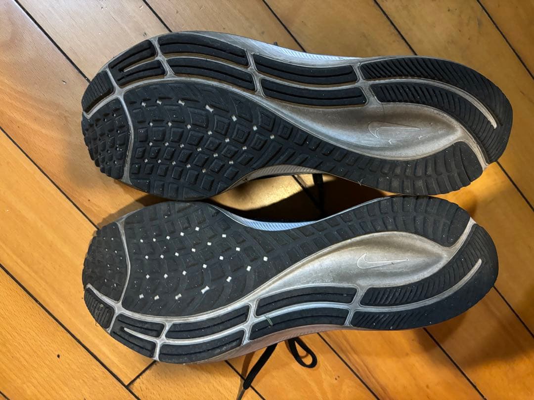 NIKE Air Zoom ペガサス37 Be True 27.0cm