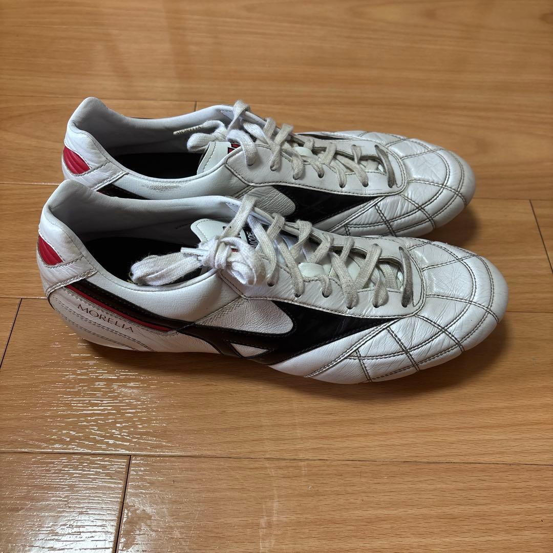 モレリア2ジャパンクロスステッチ