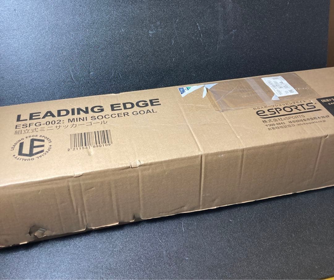 LEADING EDGE ミニサッカーゴール ESFG-002