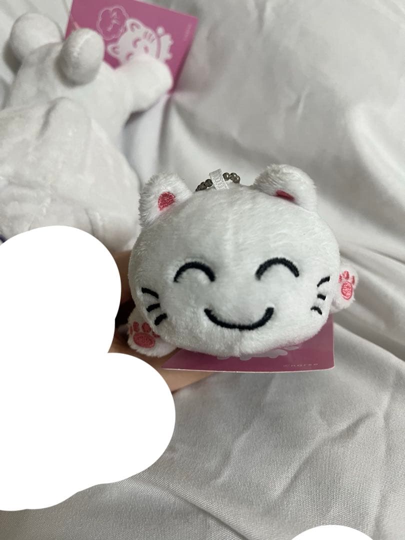 3/4まで限定価格　おるすばんなるせちゃん/いっしょにおでかけなるせねこ