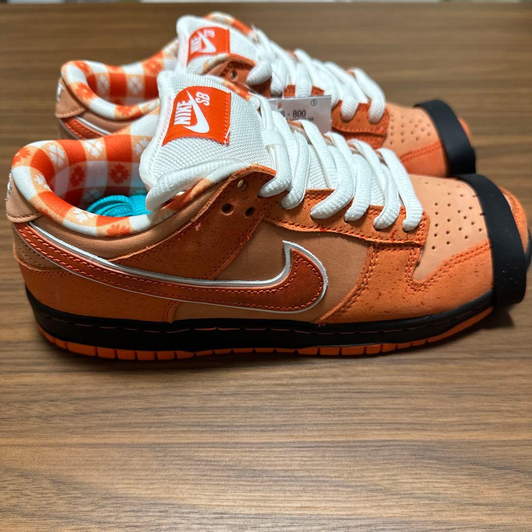 NIKE ダンクsb ロブスター　24.5