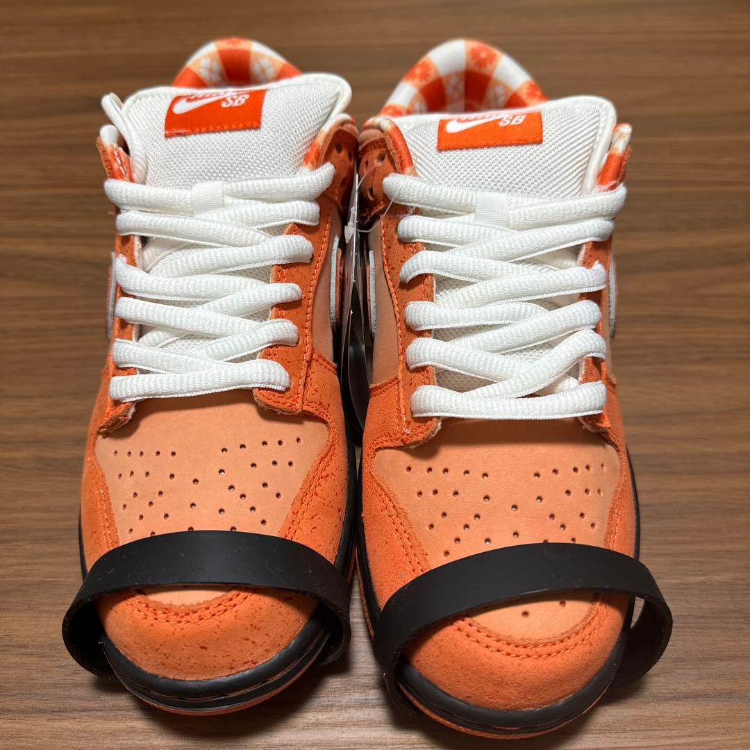 NIKE ダンクsb ロブスター　24.5