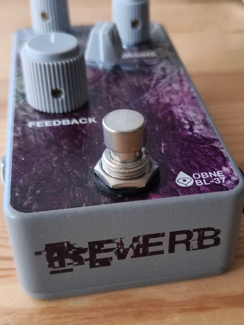 ギター Old Blood Noise Endeavor BL-37 Reverb