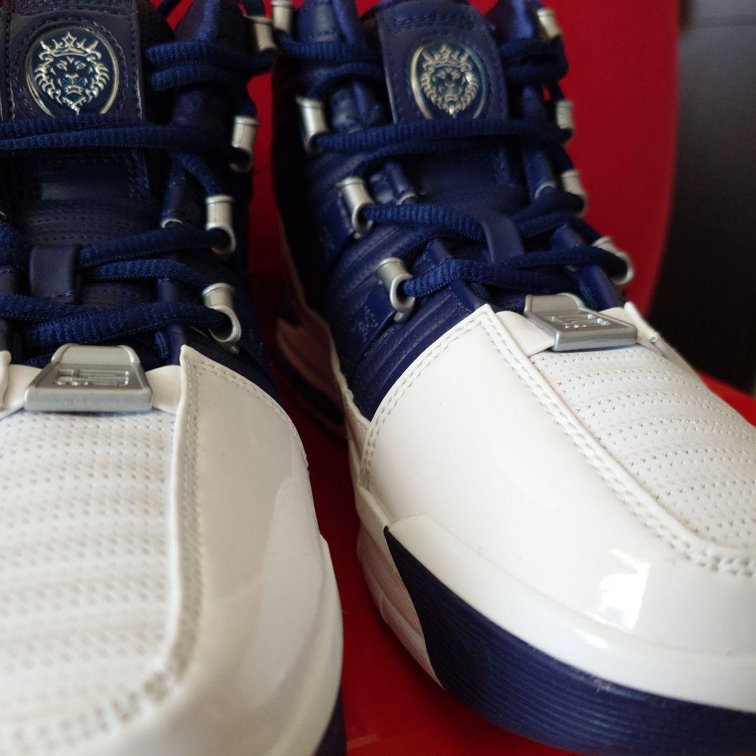 【値下げ】Nike ZOOM　LEBRON III QS 25cm
